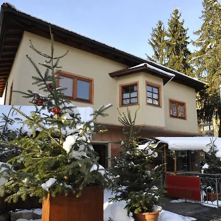 Lägenhet Haus Rieder *